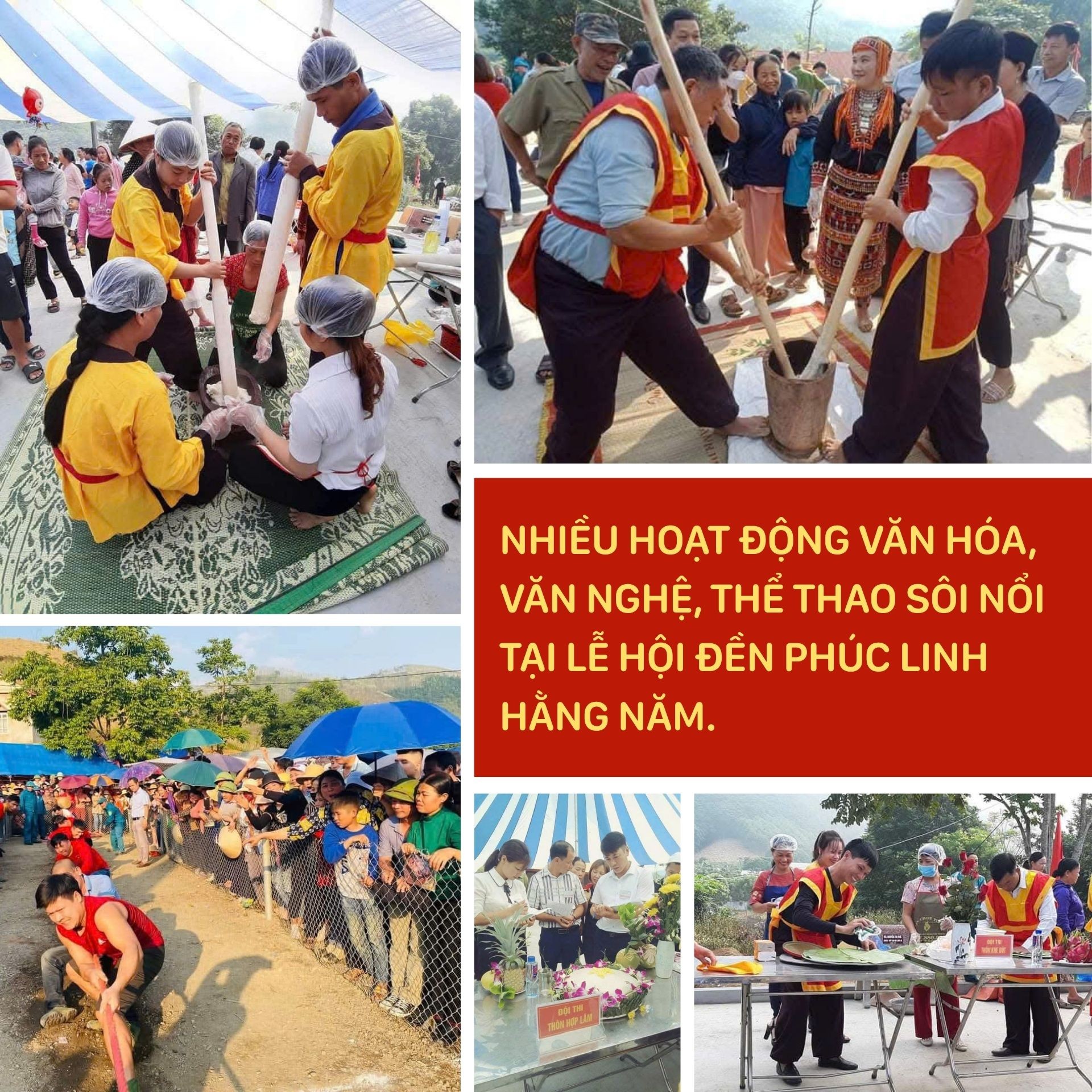 phuc-linh-5.jpg