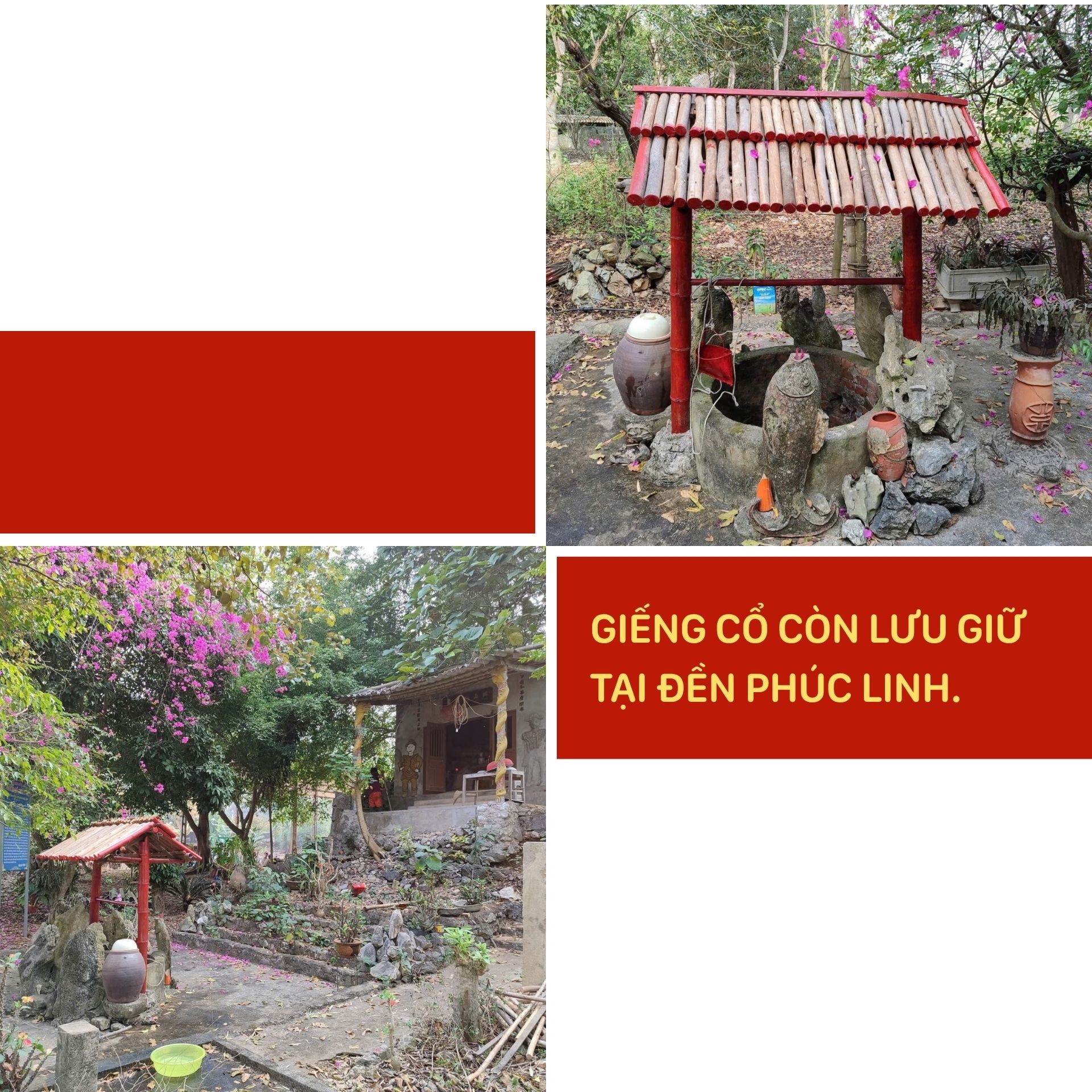 phuc-linh-7.jpg