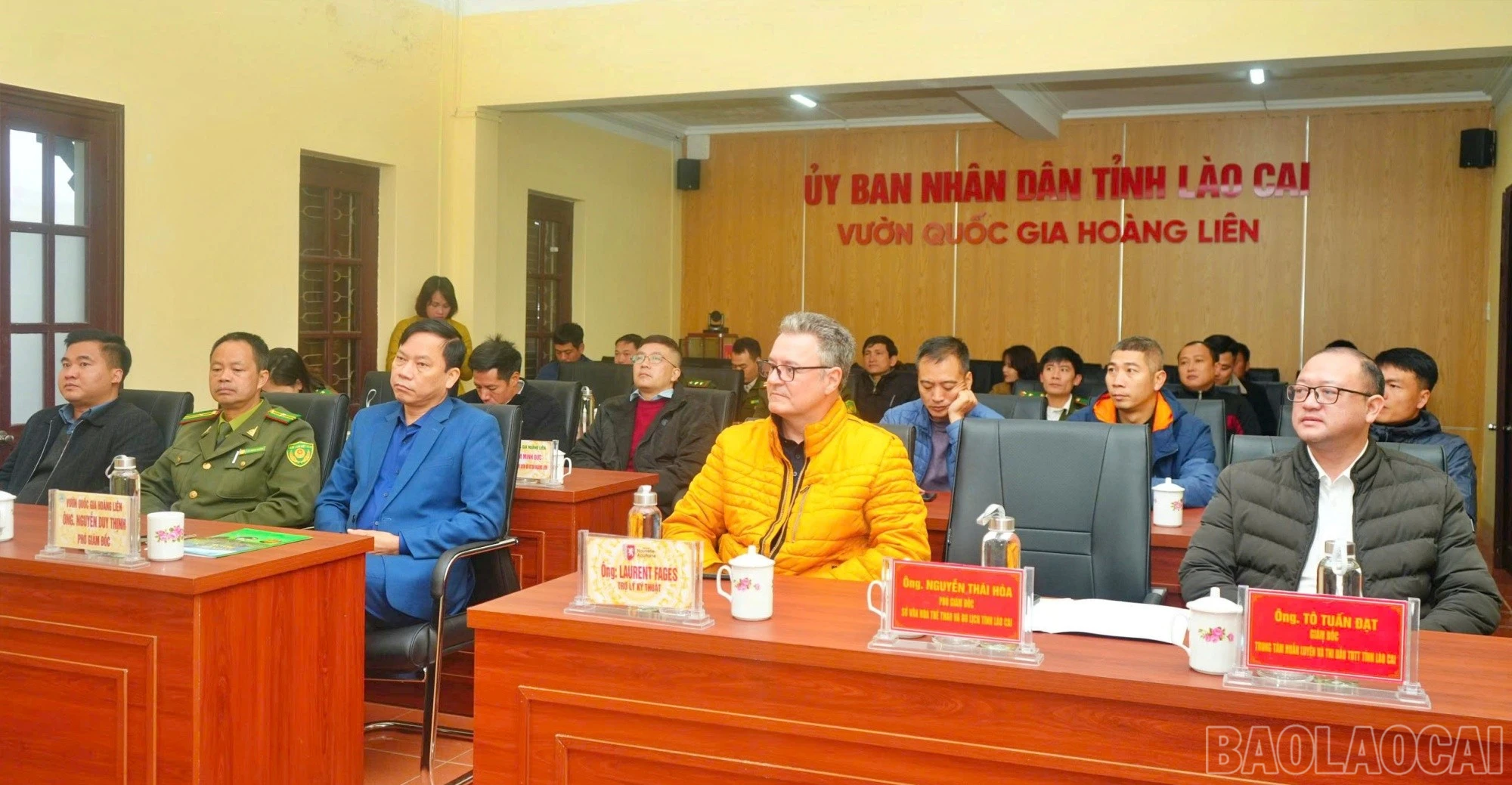 baolaocai-br_ada.jpg
