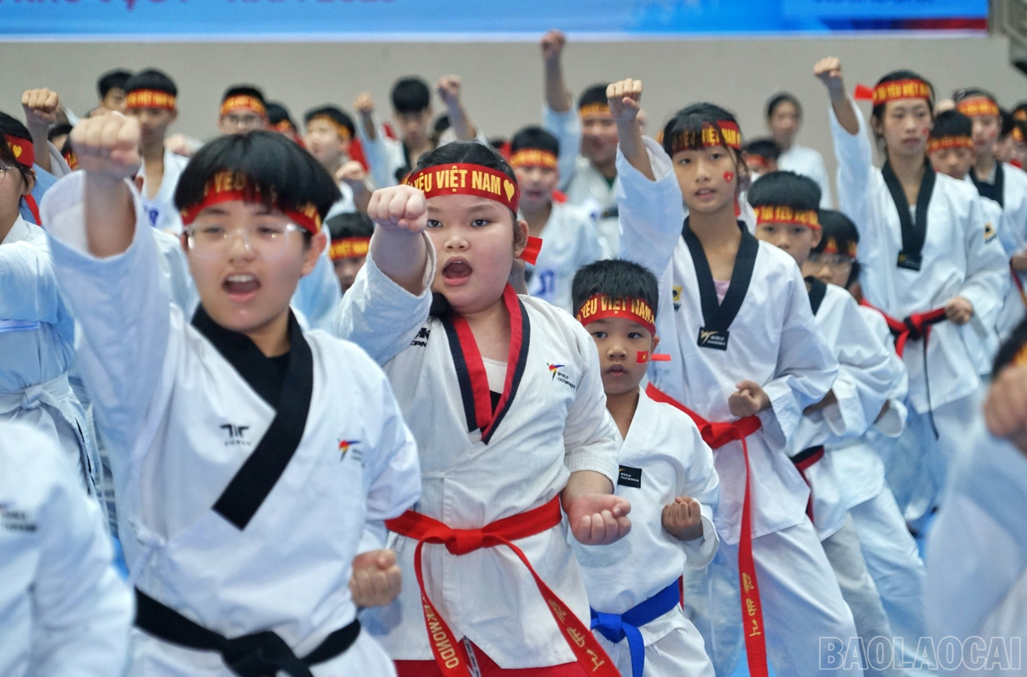 Phần biểu diễn với nhiều bài quyền đẹp mắt. baolaocai-br_dien.jpg