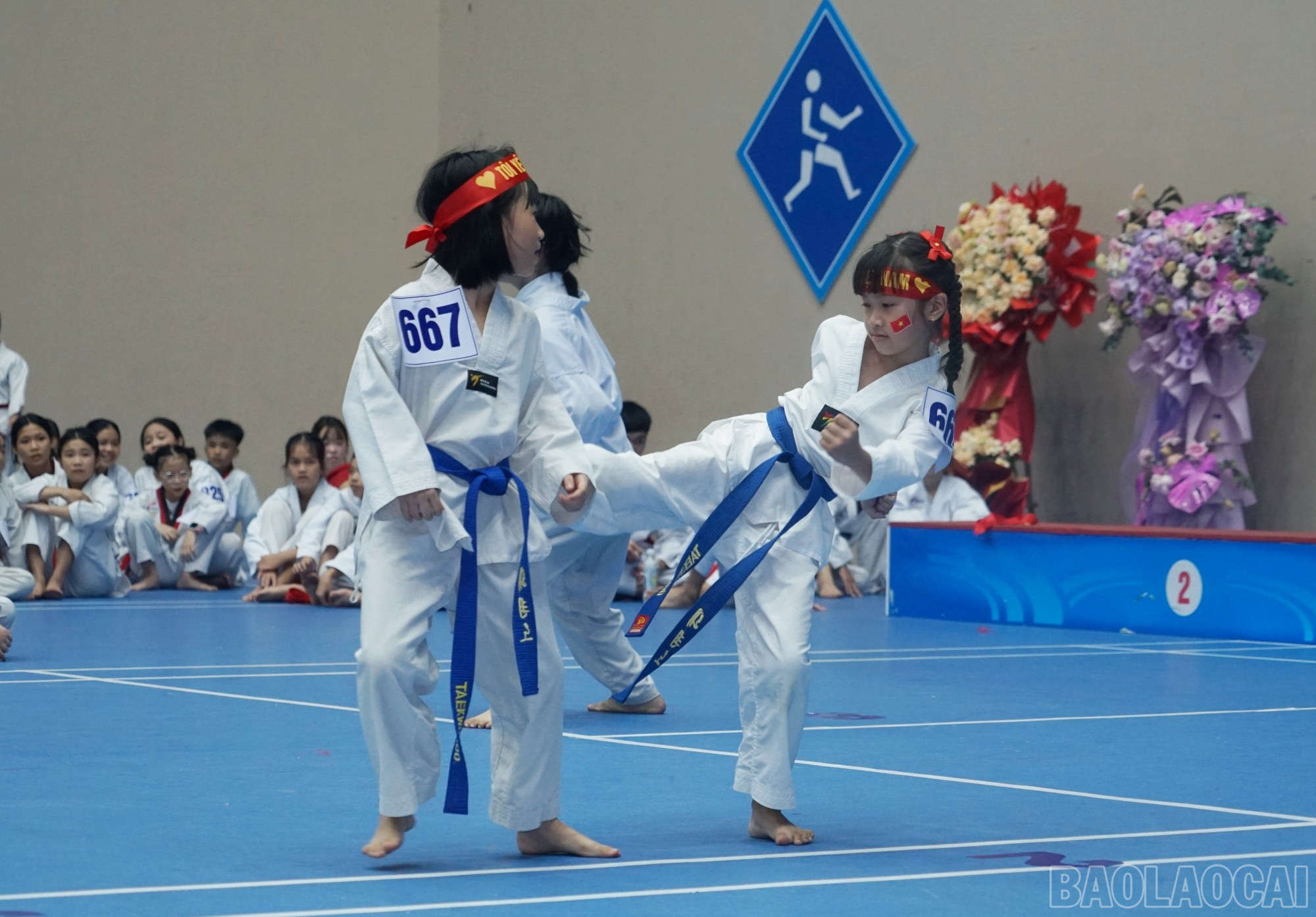baolaocai-br_doi-khang.jpg
