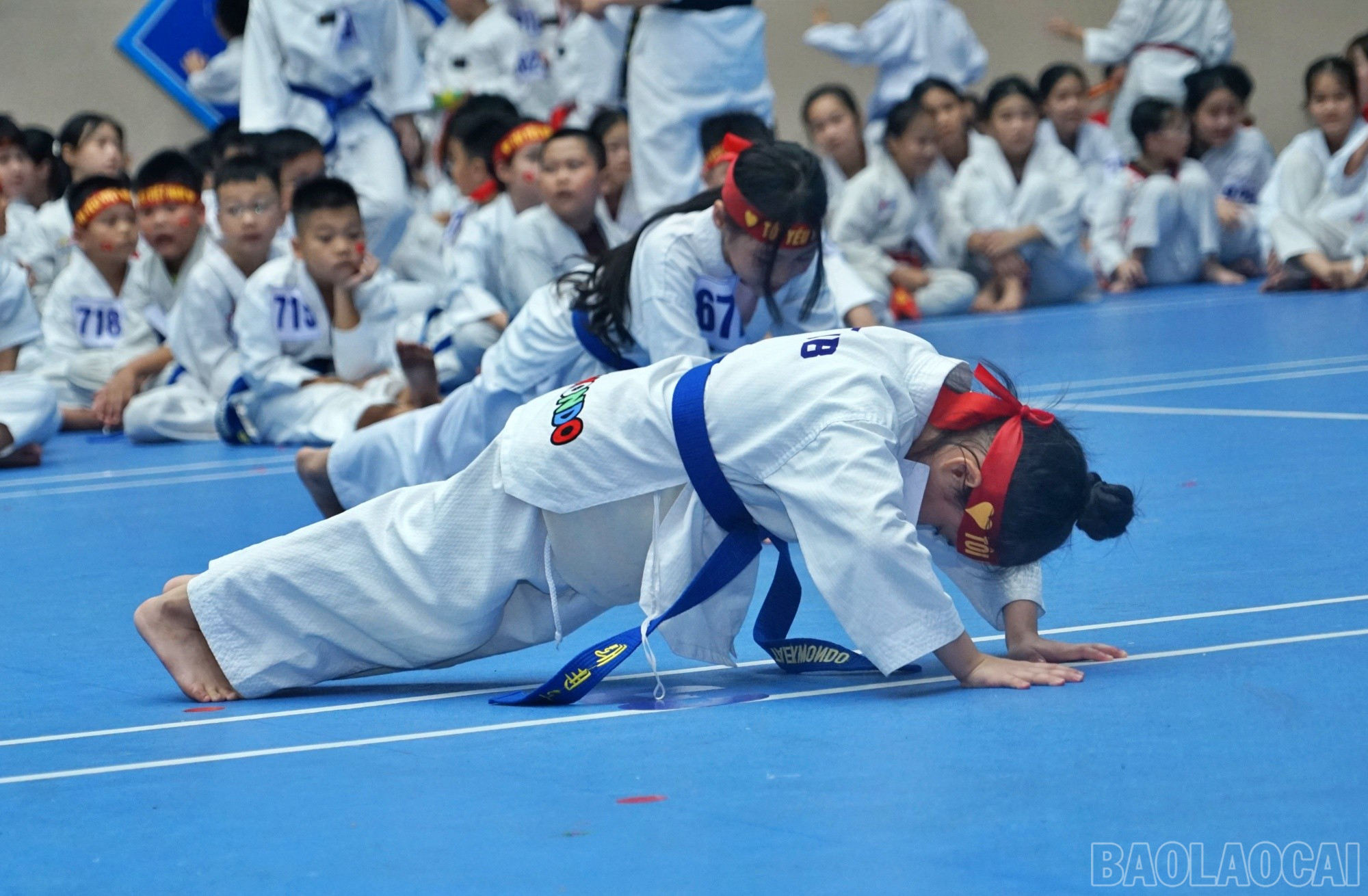 baolaocai-br_the-luc.jpg