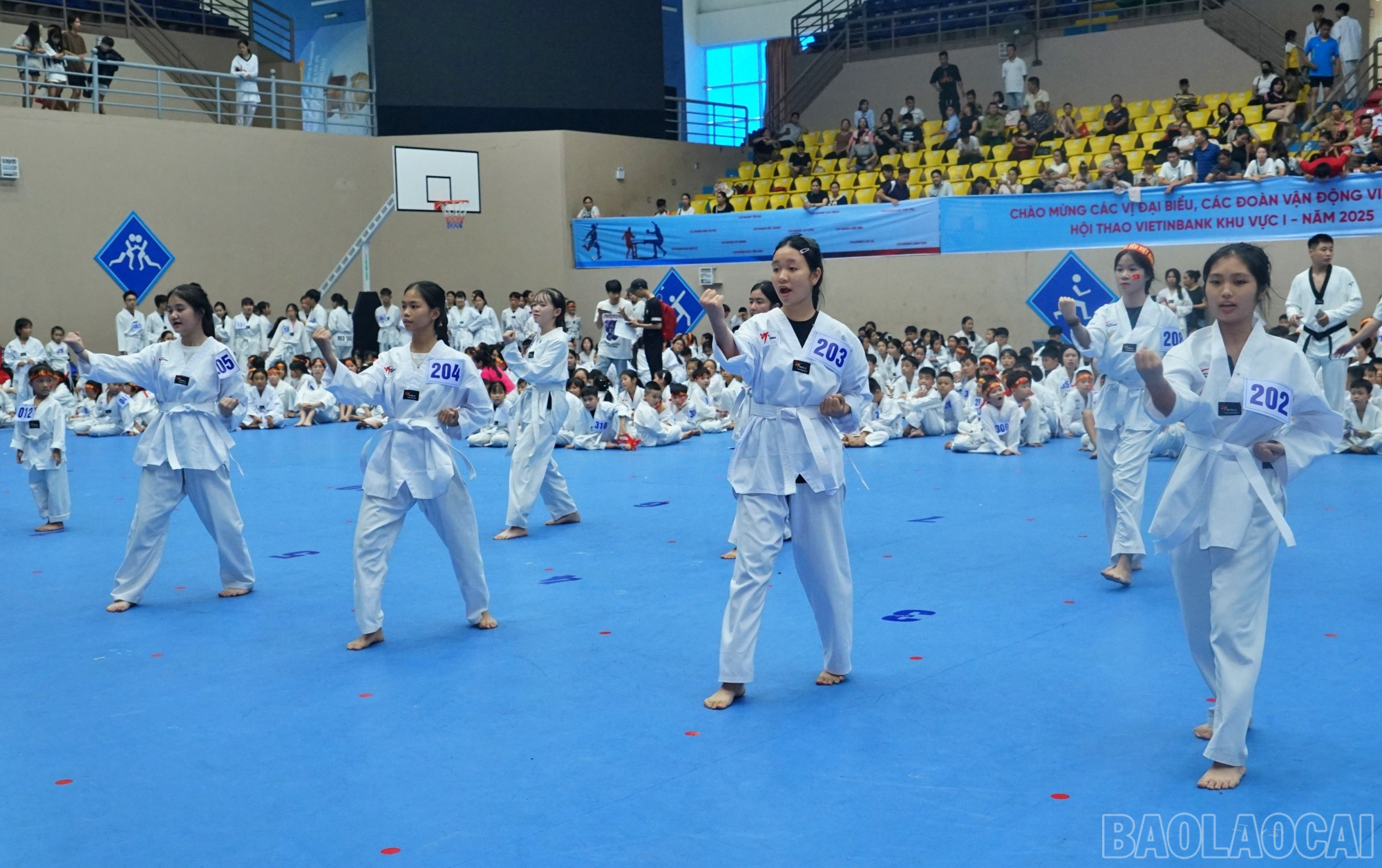 Các võ sinh đai trắng thi lên đai vàng. baolaocai-br_trang-len-vang.jpg