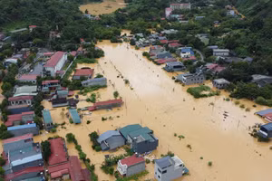 Hỗ trợ Hội Chữ thập đỏ tỉnh 500 triệu đồng mua nhu yếu phẩm cứu trợ Nhân dân vùng lũ