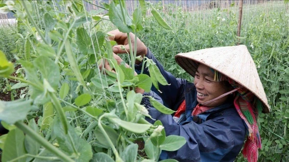 Tích hợp 3 chương trình mục tiêu quốc gia, tập trung ưu tiên