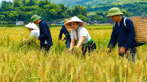 Tú Lệ lan tỏa nghị quyết đến từng cơ sở