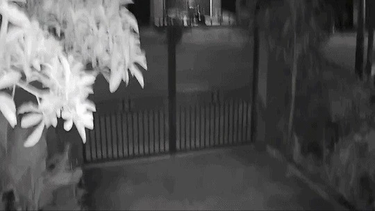 Động đất gây rung lắc nhiều nơi ở Quảng Ngãi