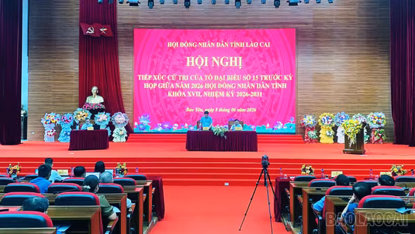 Tổ đại biểu số 15 HĐND tỉnh tiếp xúc cử tri trước kỳ họp giữa năm 2026