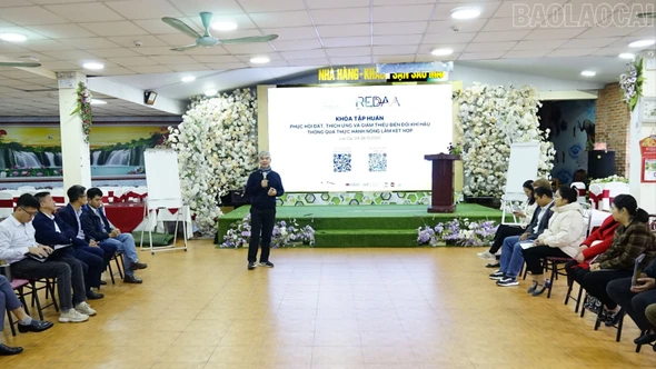 Tập huấn mô hình nông lâm kết hợp bảo tồn đất dốc