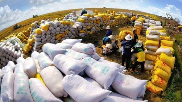 Quốc tế đánh giá cao vai trò nổi bật của Việt Nam trong chuỗi cung ứng toàn cầu