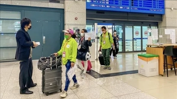 Hàn Quốc sẽ tiếp nhận 109.100 lao động thời vụ nước ngoài vào năm 2026