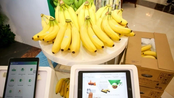 Truy xuất nguồn gốc sản phẩm Việt vẫn 'kẹt' ở nền dữ liệu