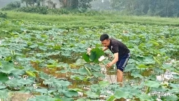Thắp sáng tinh thần xung kích nơi thôn quê