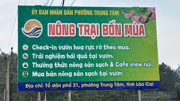 Trải nghiệm "nông trại bốn mùa": Nông sản trở thành sản phẩm du lịch hút khách