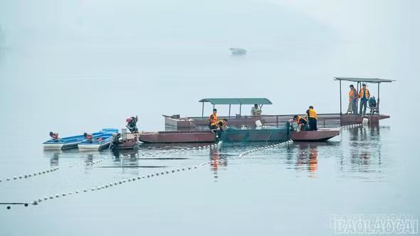 Đánh thức tiềm năng nuôi thủy sản trên các lòng hồ tại Lào Cai