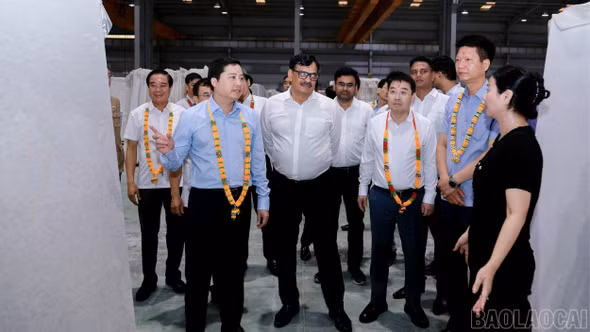 Thường trực Tỉnh ủy khảo sát quy hoạch thuộc Khu du lịch quốc gia hồ Thác Bà và kiểm tra tình hình hoạt động của Nhà máy chế biến đá cẩm thạch R.K quốc tế