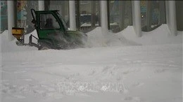 Bão tuyết lịch sử tại Mỹ: Cú sốc toàn diện từ kinh tế đến hạ tầng