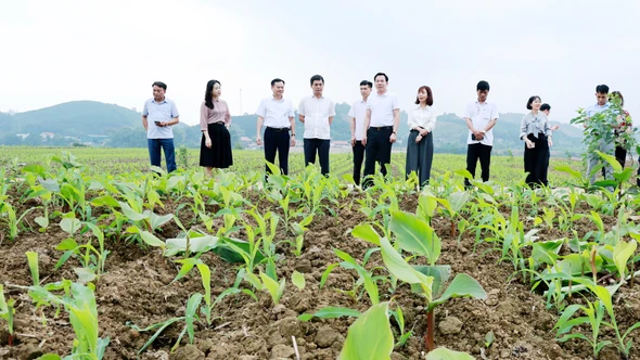 Đoàn công tác số 10 của Ban Thường vụ Tỉnh ủy làm việc với Ban thường vụ Đảng ủy xã Quy Mông 