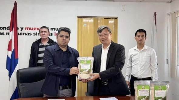 Việt Nam hỗ trợ Cuba đảm bảo an ninh lương thực