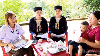 Cảnh giác nguy cơ ngộ độc từ nấm rừng và thực phẩm tự nhiên
