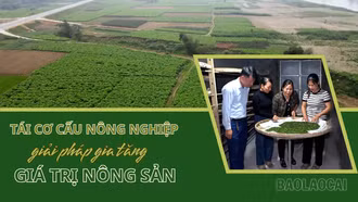 Tái cơ cấu nông nghiệp – Giải pháp gia tăng giá trị nông sản