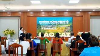 Lào Cai: 24 đội tranh tài tại Cuộc thi “Đòn bẩy tăng tốc kinh doanh”