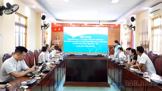 Lào Cai triển khai dự án cải thiện sức khỏe thể chất và tinh thần cho cộng đồng yếu thế