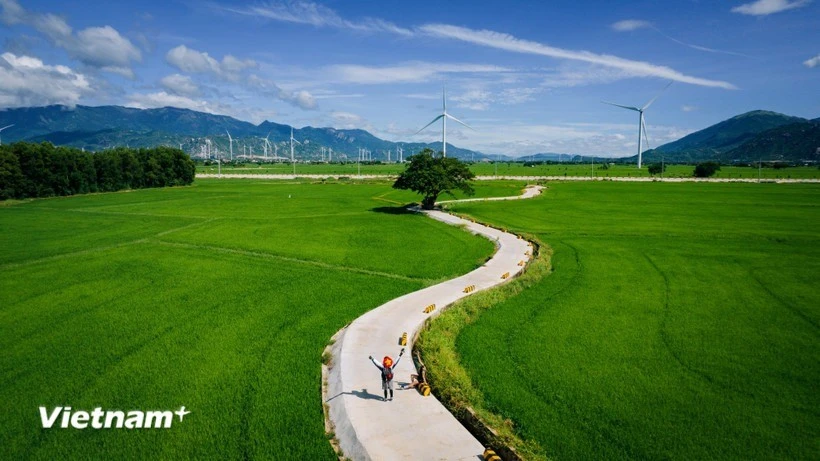 vnp-canh-dong-dien-gio-dam-nai-n.jpg