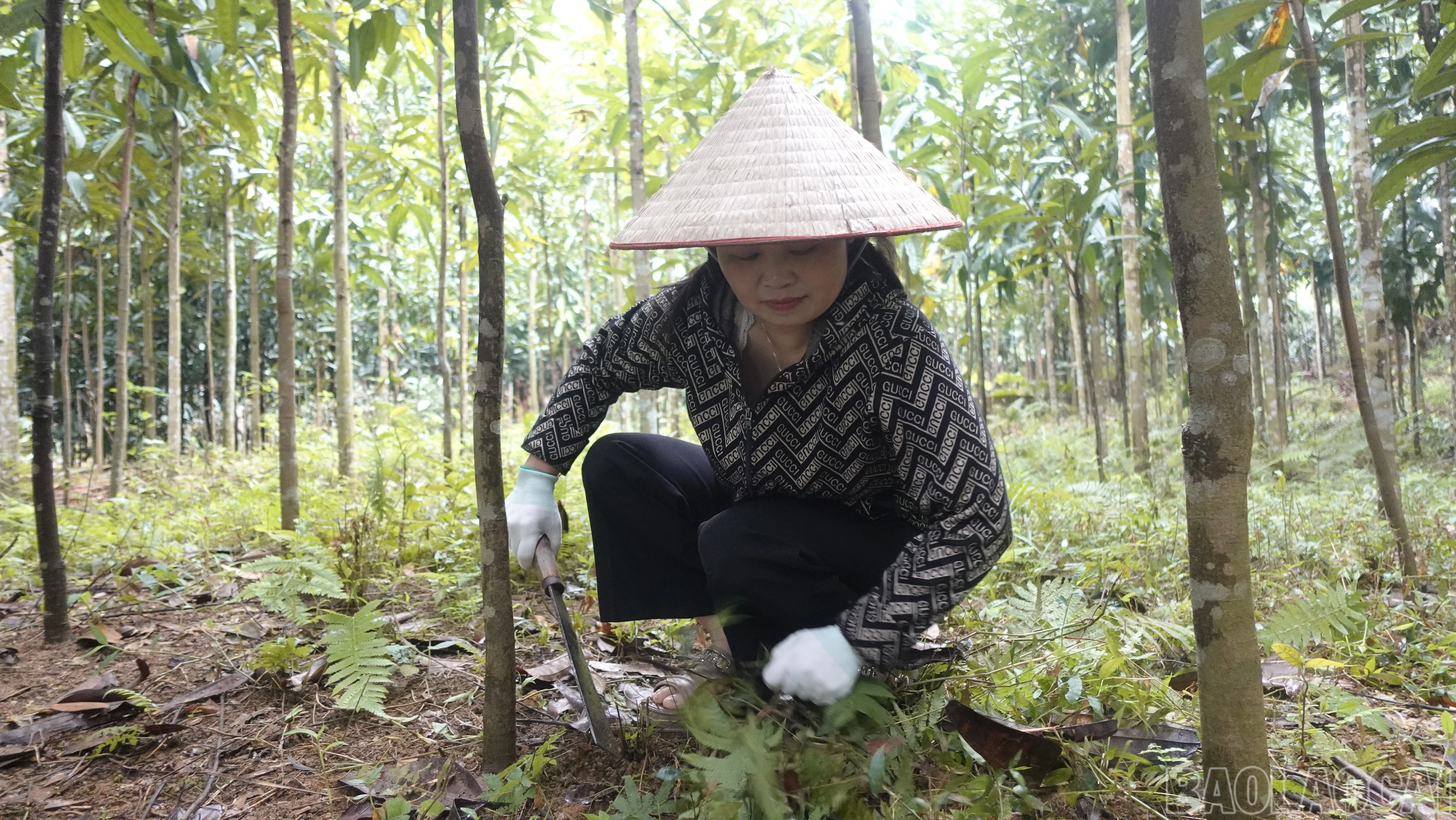 baolaocai-br_dang-vien-nong-thuy-trang-cham-soc-doi-que-cua-gia-dinh.jpg