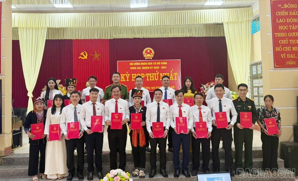 baolaocai-br_image-1774755251239.jpg