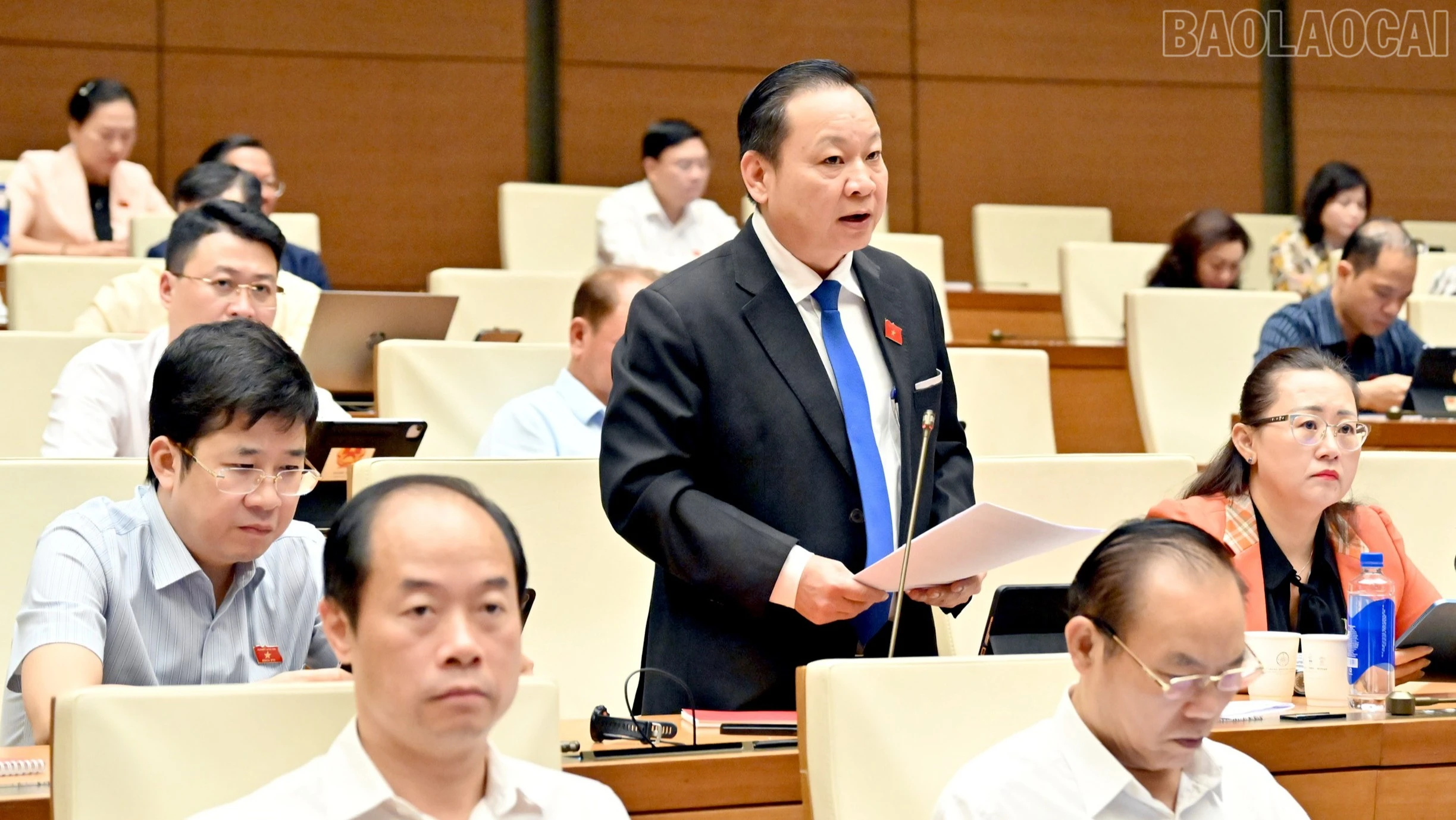 baolaocai-tr_234.jpg