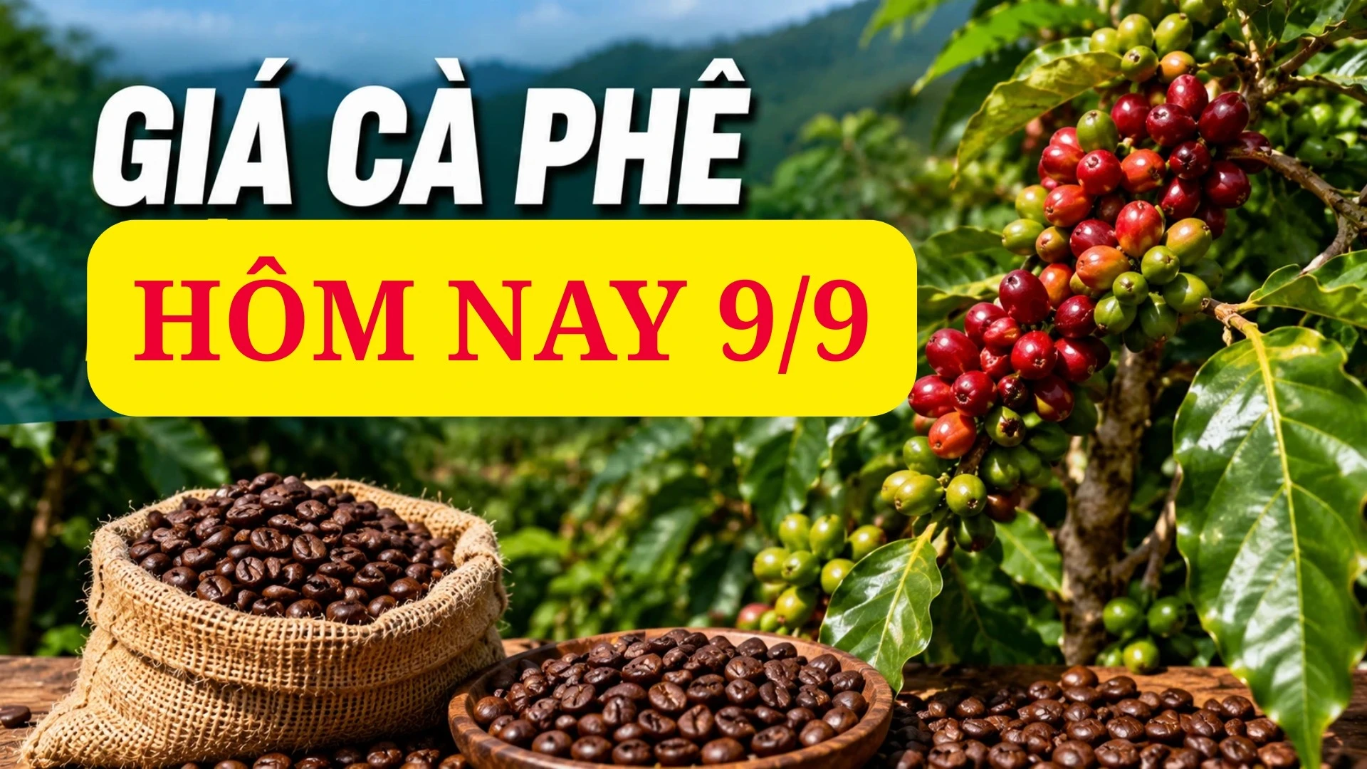 ca-phe.jpg