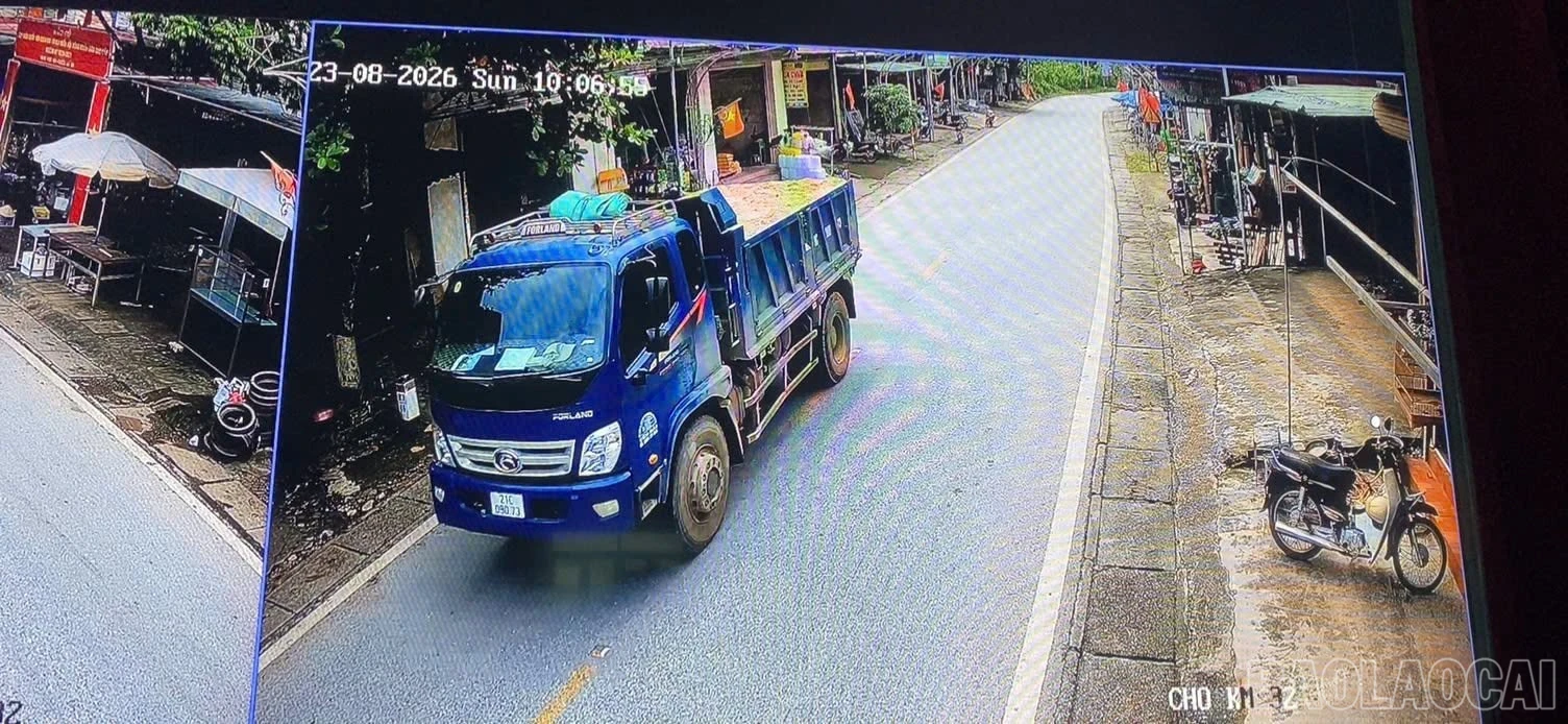 baolaocai-br_anh-1.jpg