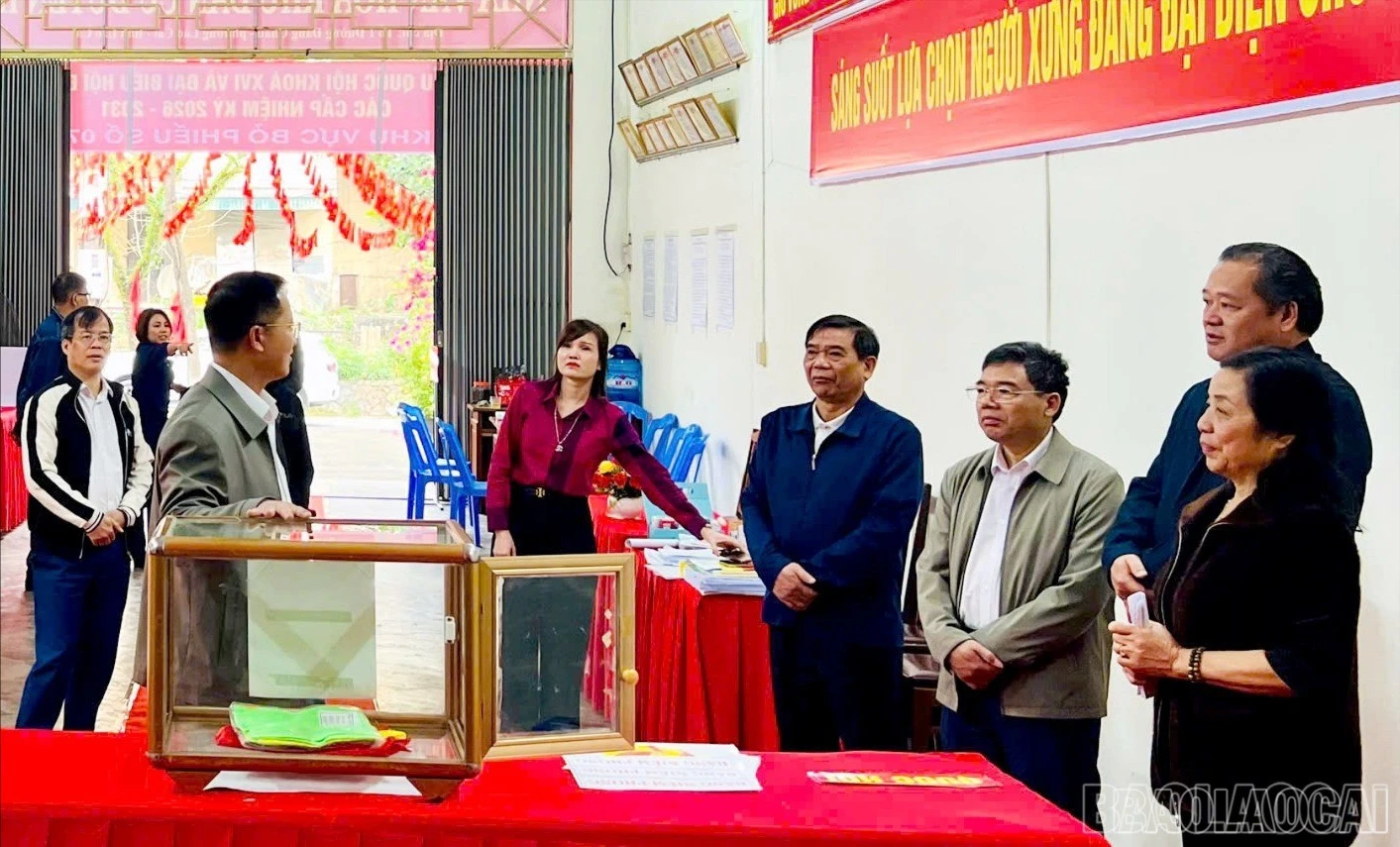 baolaocai-br-z7609029695669-eb7729dfae0e7f2b9d3aa6e2d69b4bc2.jpg