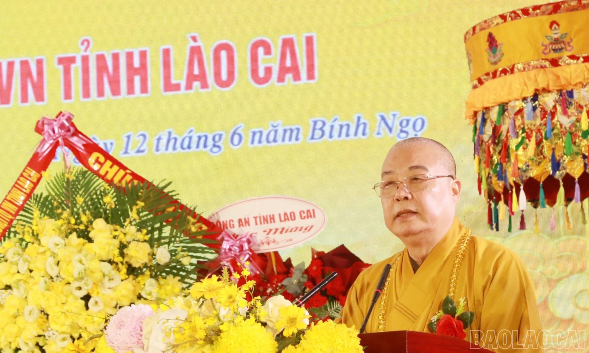baolaocai-br_br-7.jpg