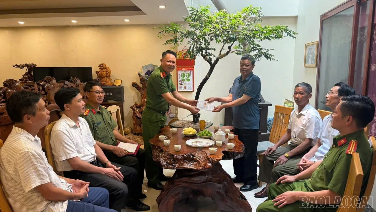 baolaocai-br_1.jpg