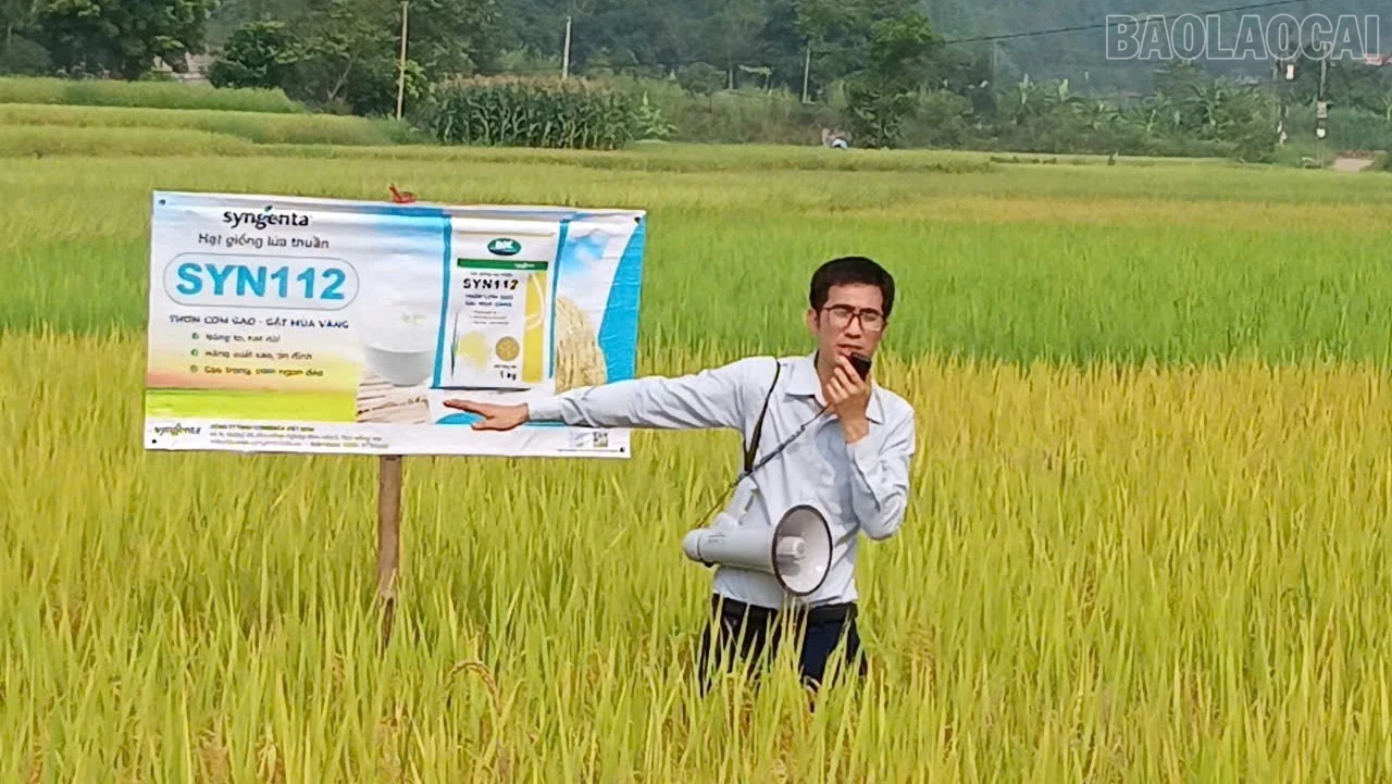 baolaocai-tr_dai-dien-cong-ty-tnhh-syngenta-viet-nam-gioi-thieu-giong-lua-122-1-1302.jpg