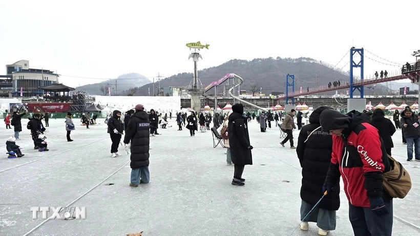 ttxvn-le-hoi-ca-hoi-nui-hwacheon.jpg