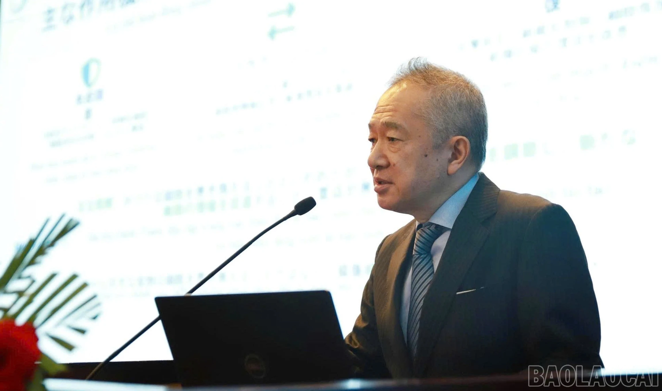 baolaocai-br_z7852370743216-0cda90b61111955512d44d3fc0eef807.jpg