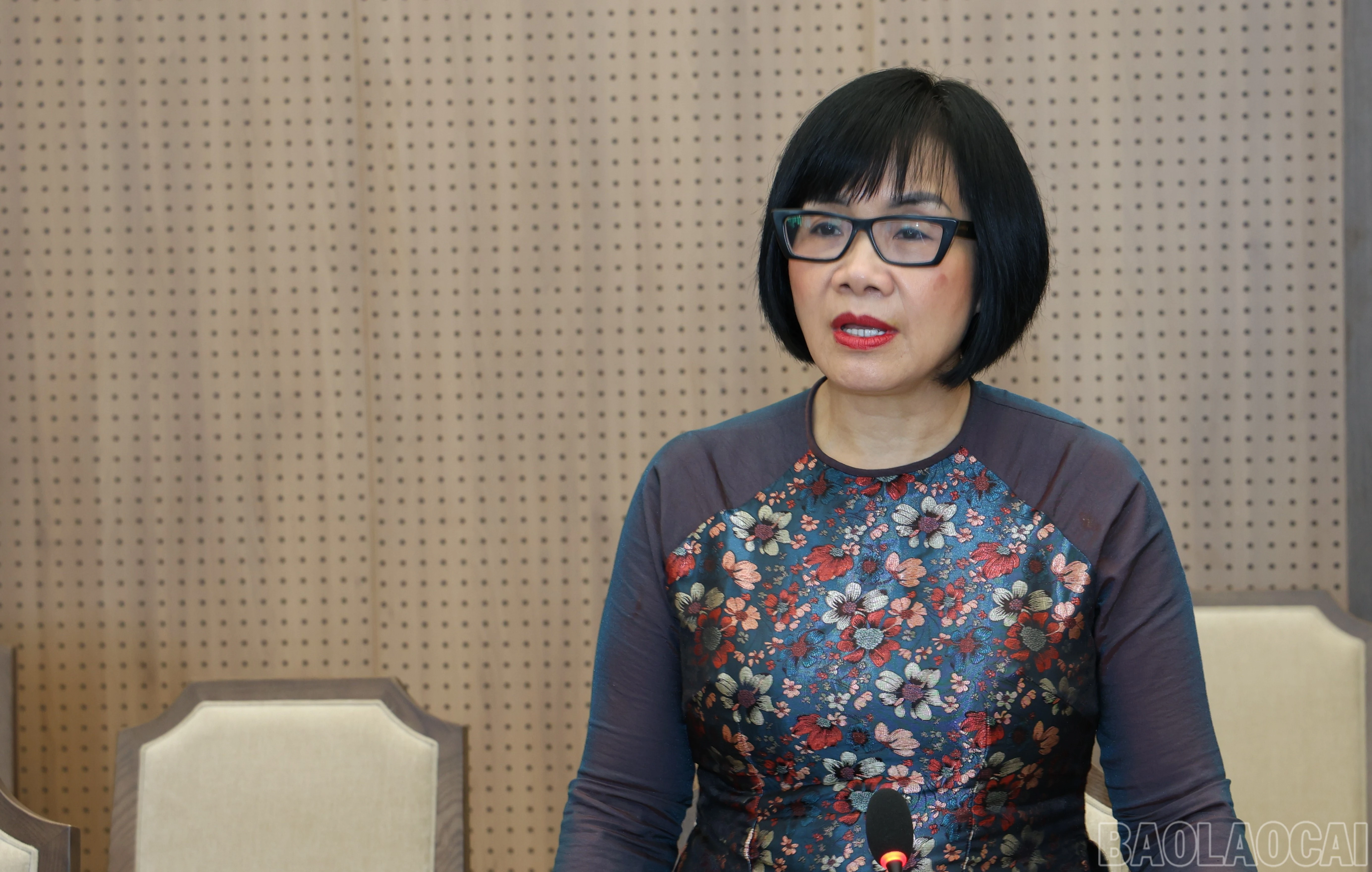 baolaocai-br_img-2200-53.jpg