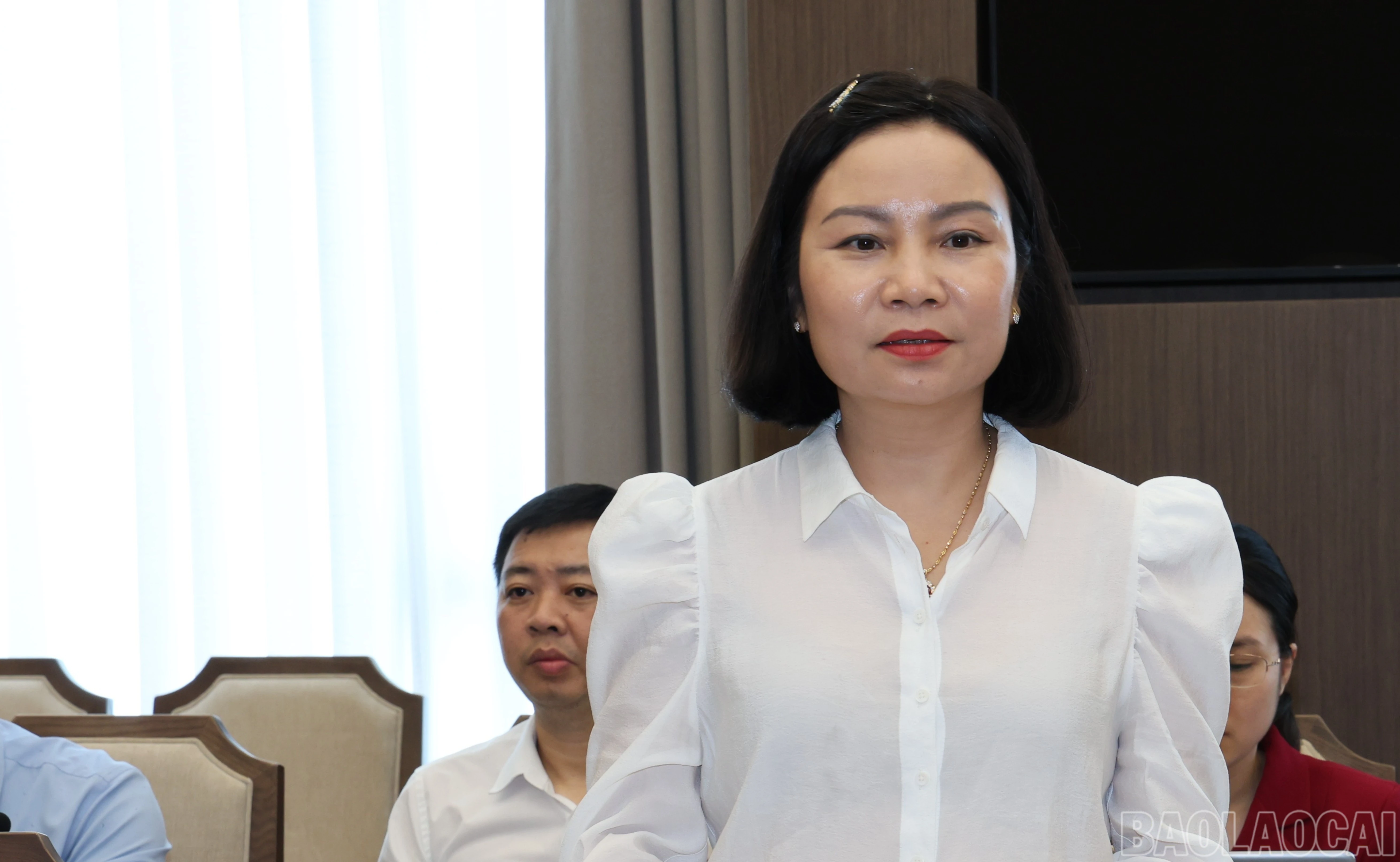 baolaocai-br_br-img-2233-6181.jpg