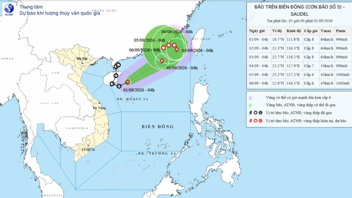 bao-so-5.png