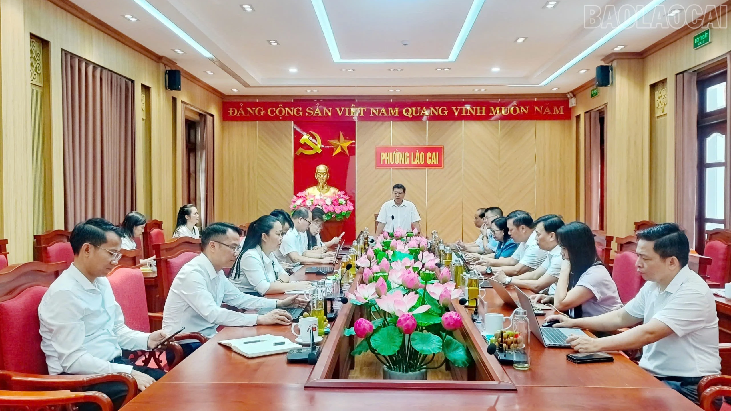 baolaocai-tr_quangcanh-9651.jpg