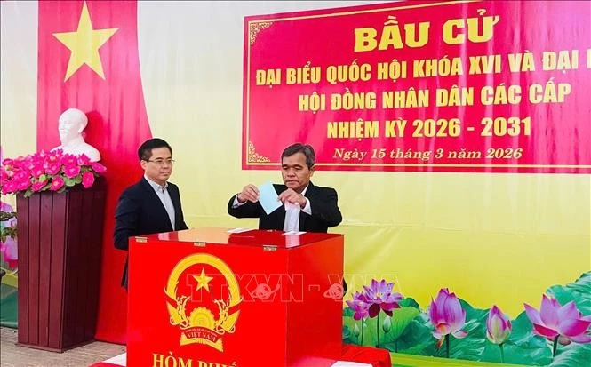 Lãnh đạo tỉnh Quảng Ngãi bỏ phiếu tại phường Cẩm Thành. Ảnh: TTXVN