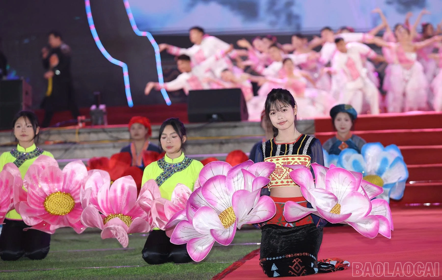 baolaocai-br_z7776730419260-dd4d2905f37602954956e190c2c5f00a-copy.jpg