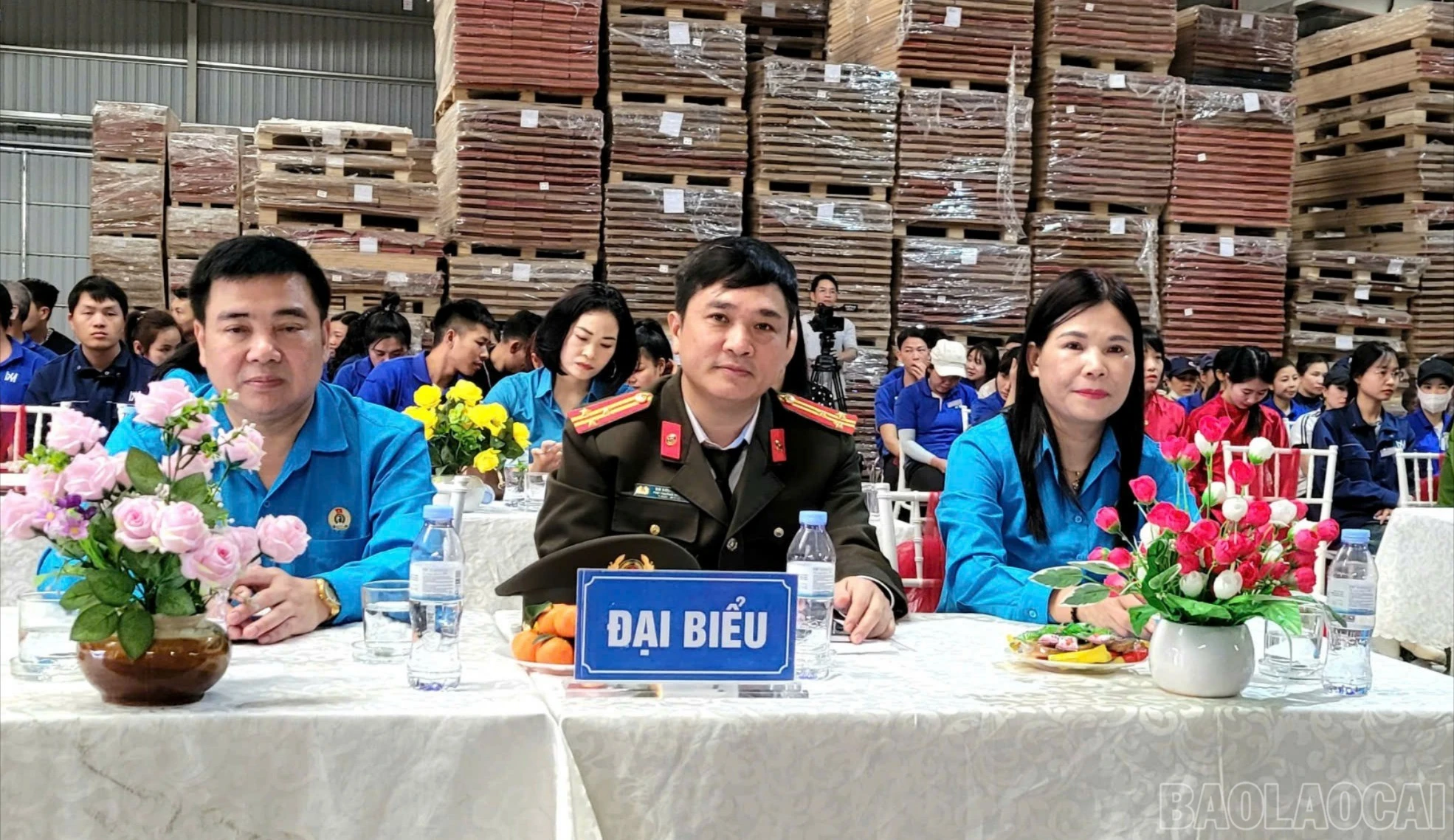 baolaocai-br_br-584720290803546676.jpg