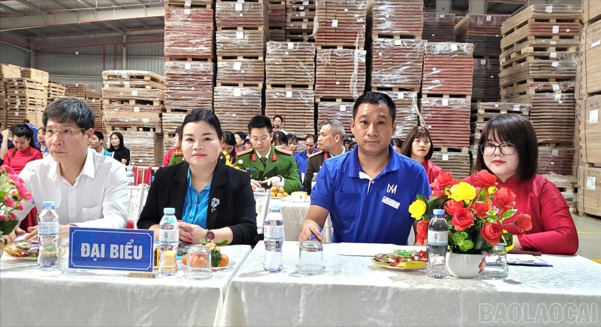 baolaocai-br-2535602470973565154.jpg