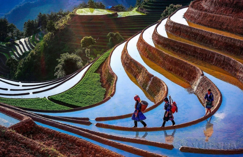 Ruộng bậc thang tại Yên Bái hấp dẫn du khách đến tham quan.