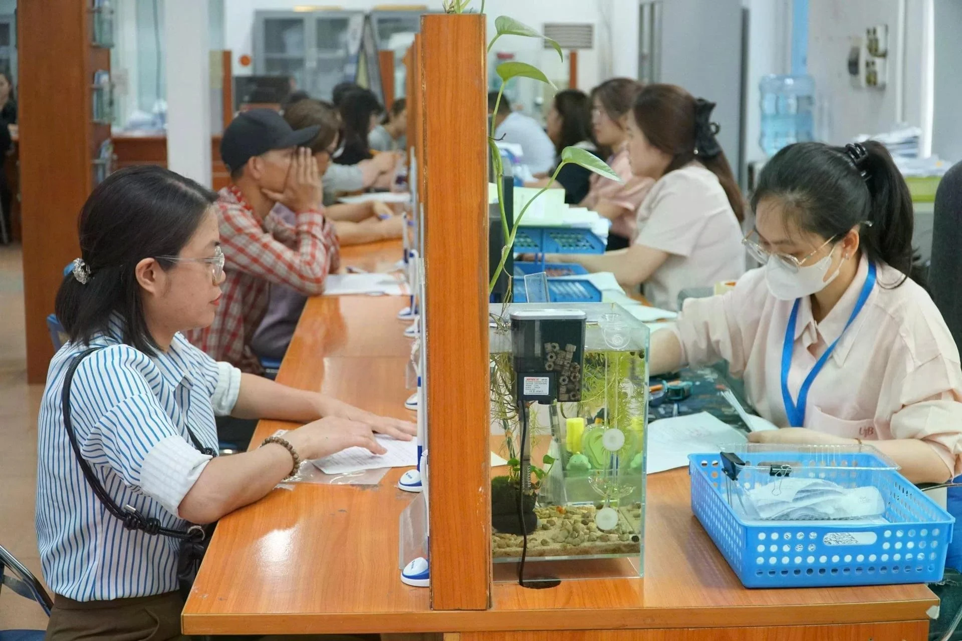 Nghị định số 178/2024/NĐ-CP, được sửa đổi, bổ sung bởi Nghị định số 67/2025/NĐ-CP, là một chính sách lớn, kịp thời thể chế hóa chủ trương của Đảng về tiếp tục đổi mới, sắp xếp tổ chức bộ máy của hệ thống chính trị tinh gọn, hoạt động hiệu lực, hiệu quả; đồng thời bảo đảm quyền và lợi ích chính đáng của cán bộ, công chức, viên chức, người lao động chịu tác động trực tiếp của quá trình sắp xếp. Ảnh minh hoạ: N.T