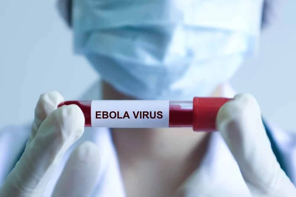 Trước nguy cơ dịch Ebola diễn biến phức tạp tại một số quốc gia châu Phi, tối 17/5, Bộ Y tế cho biết đang phối hợp chặt chẽ với Tổ chức Y tế thế giới (WHO) và các đơn vị liên quan để giám sát, phát hiện sớm và triển khai các biện pháp phòng chống phù hợp.